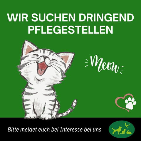 pflegestelle