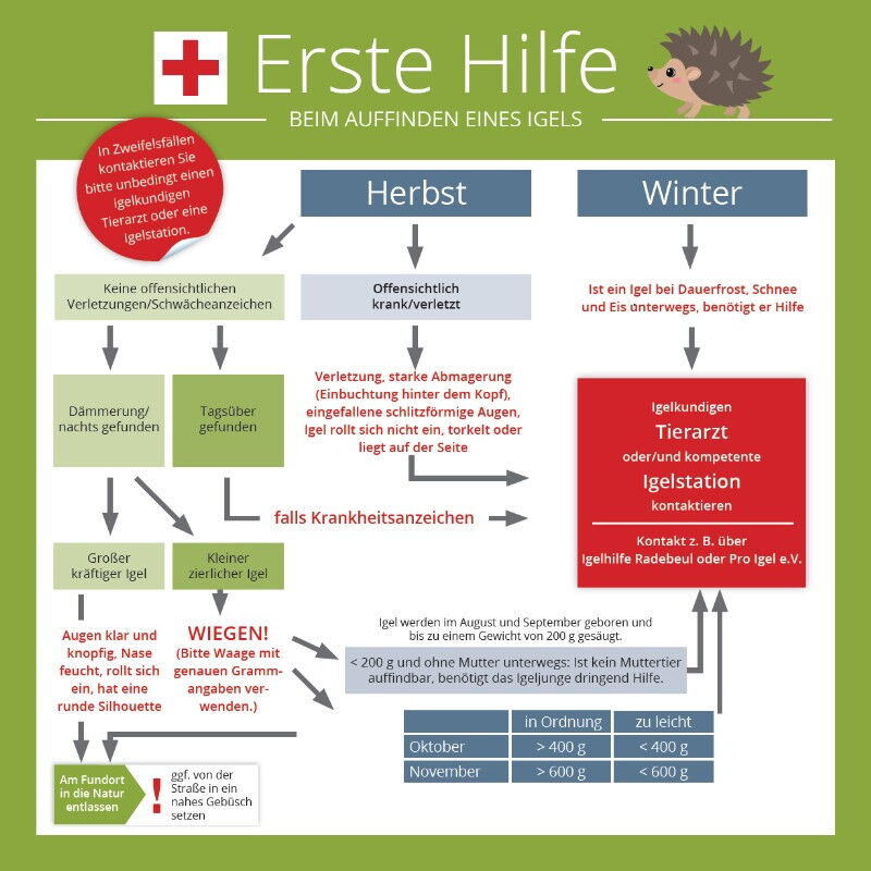Igelhilfe
